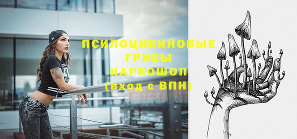 прущие крисы Абаза